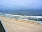 IMG_5231
