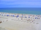 IMG_3131